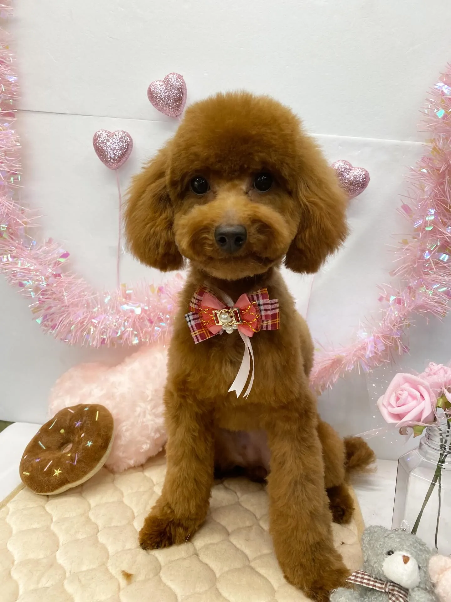 きな子ちゃん💓