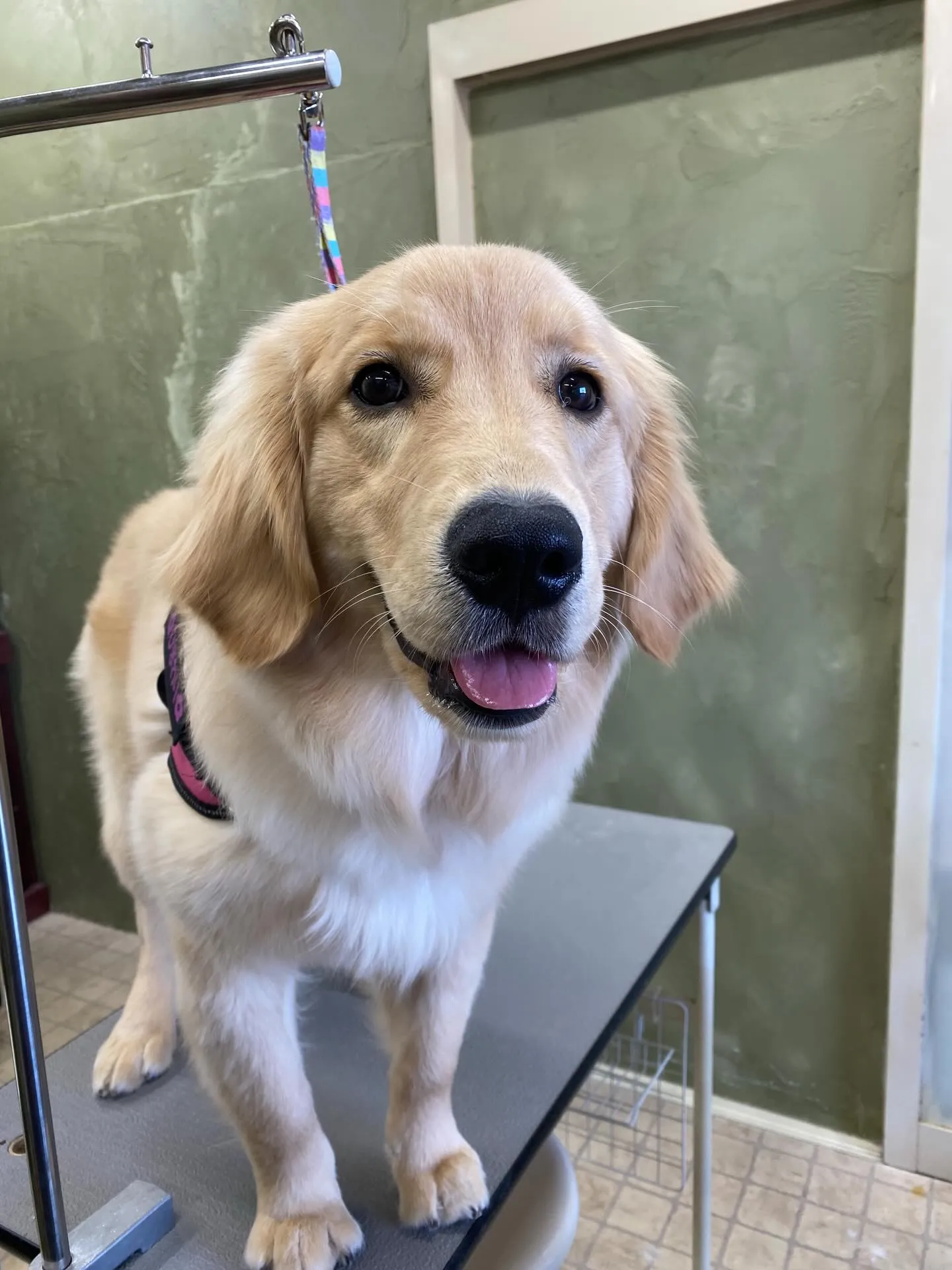 ひまわりちゃん💓