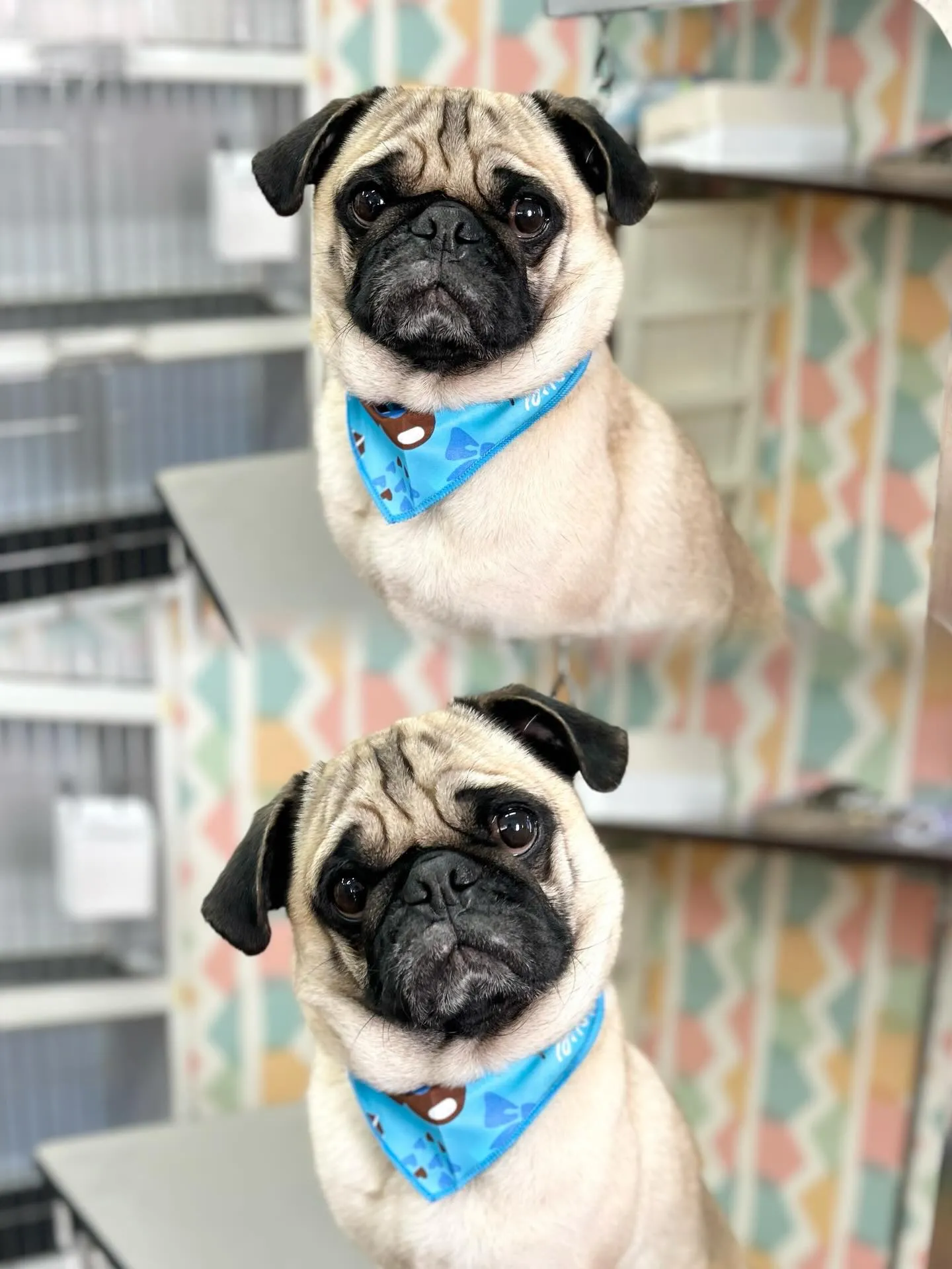 🧸ごんたくん🎀