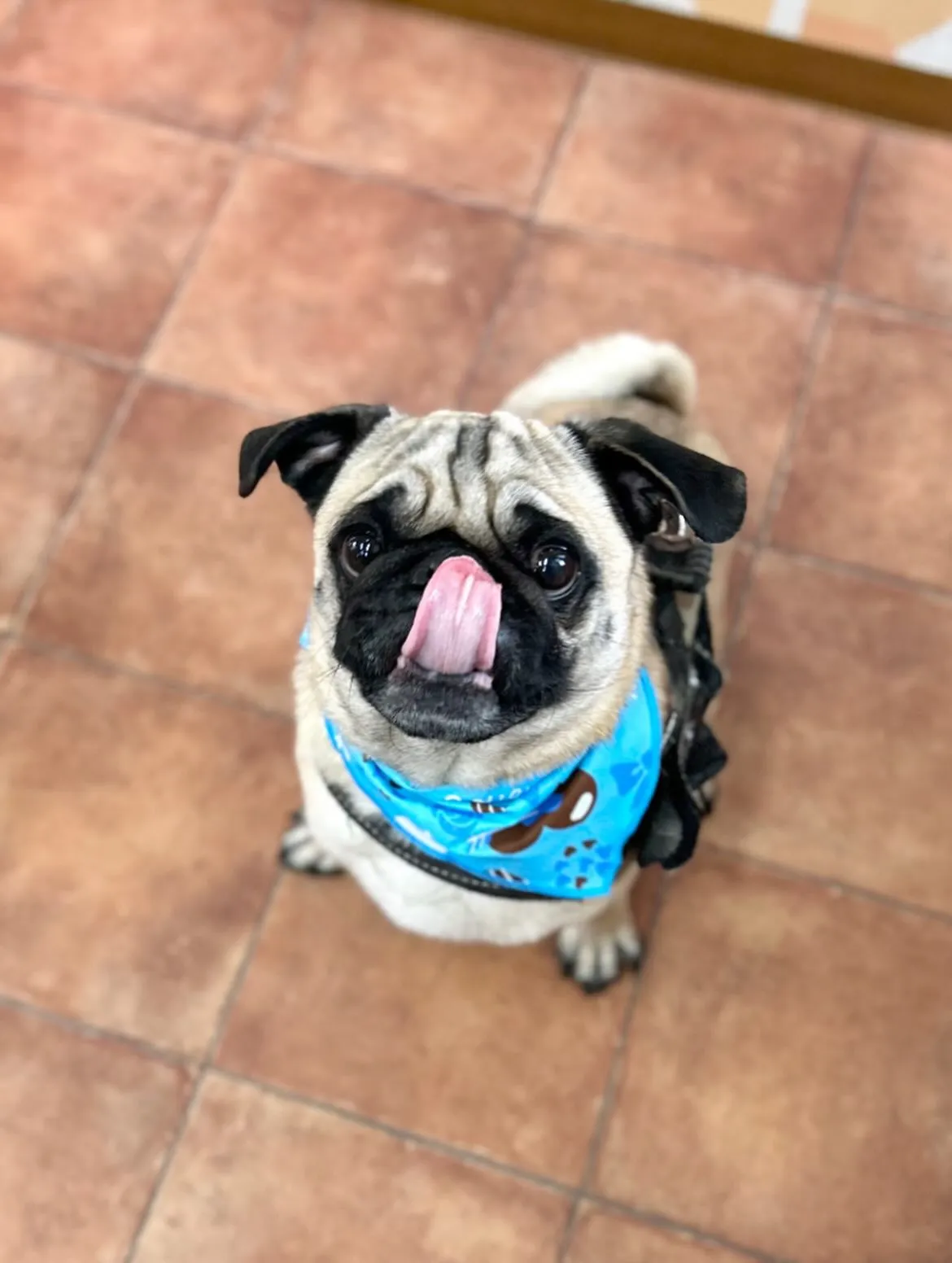 🧸ごんたくん🎀