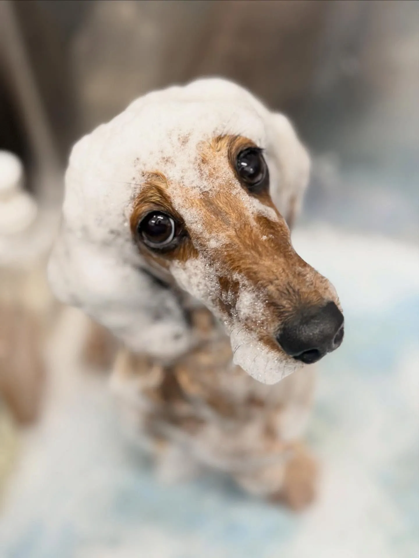 ルンルンちゃん🌷