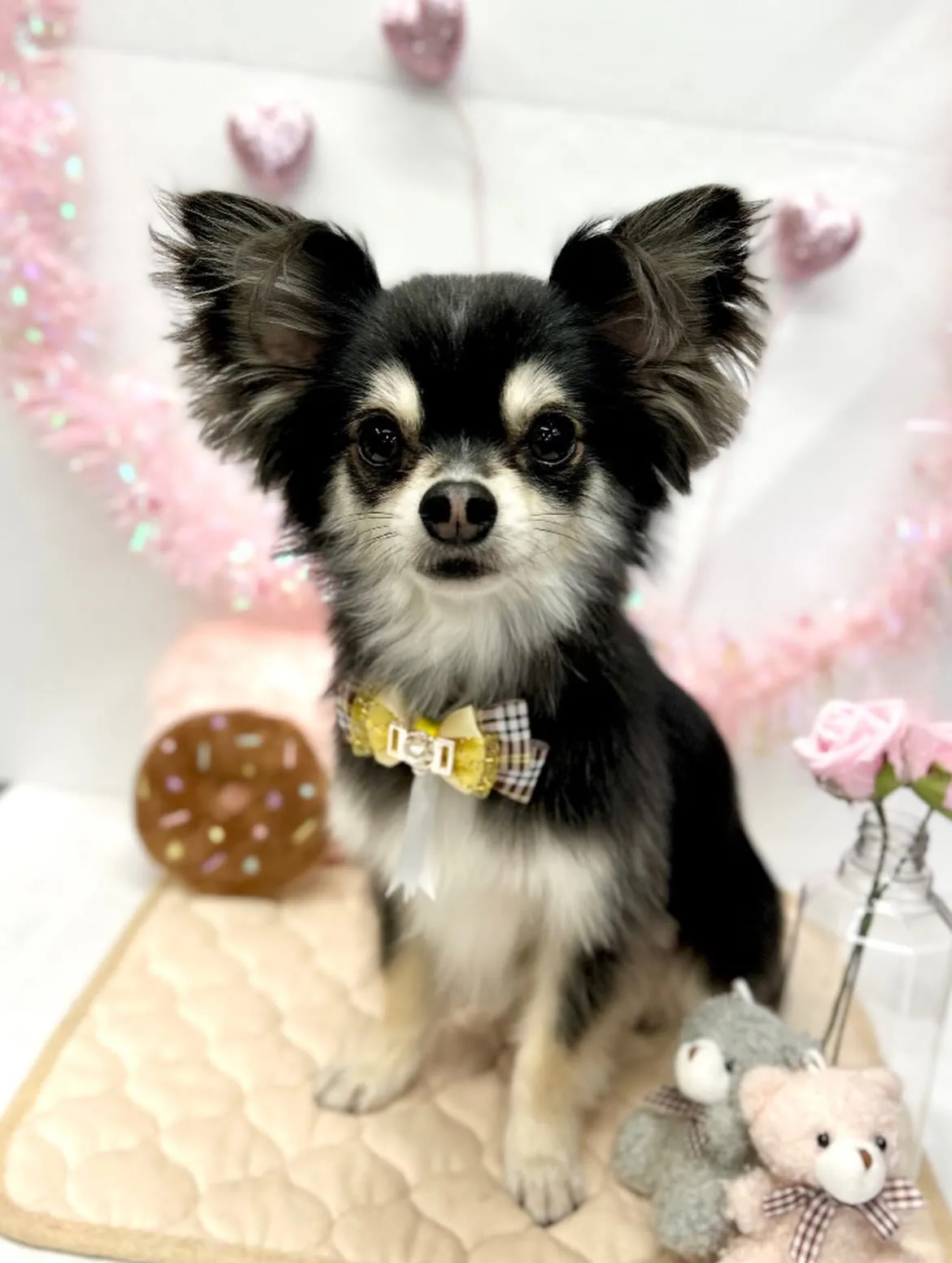 🧸ルイくん🎀