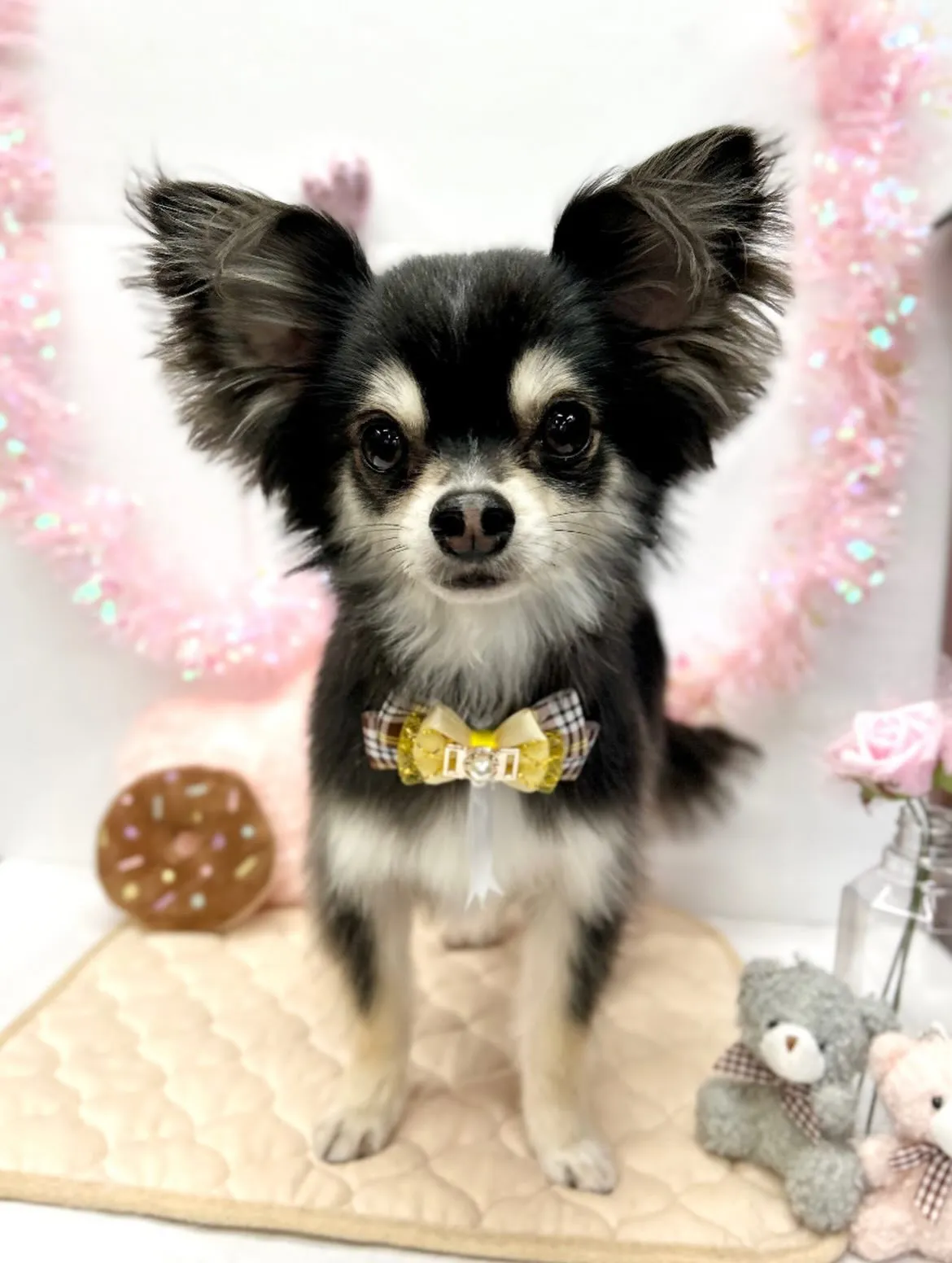 🧸ルイくん🎀