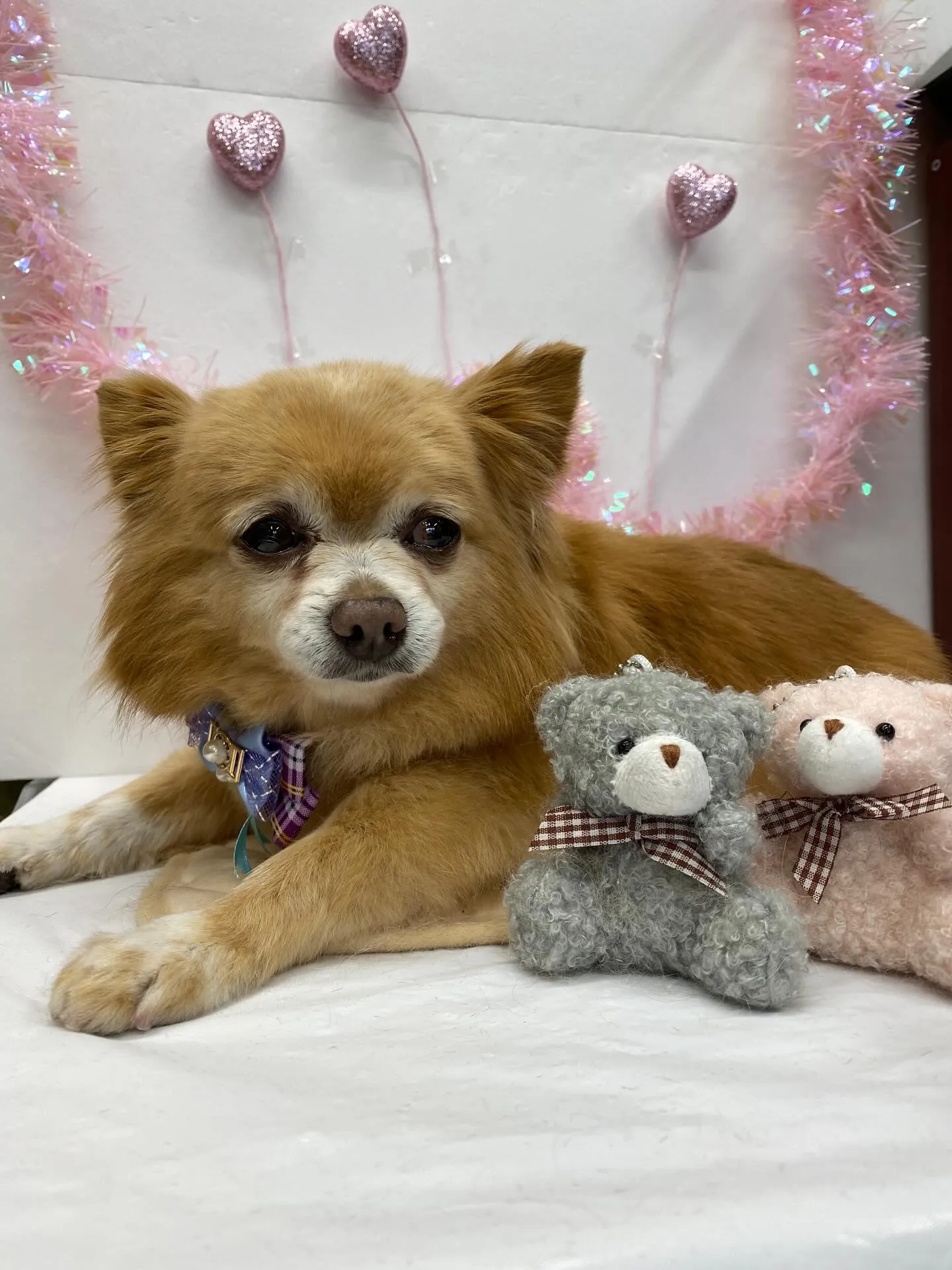 ジャックくん💓