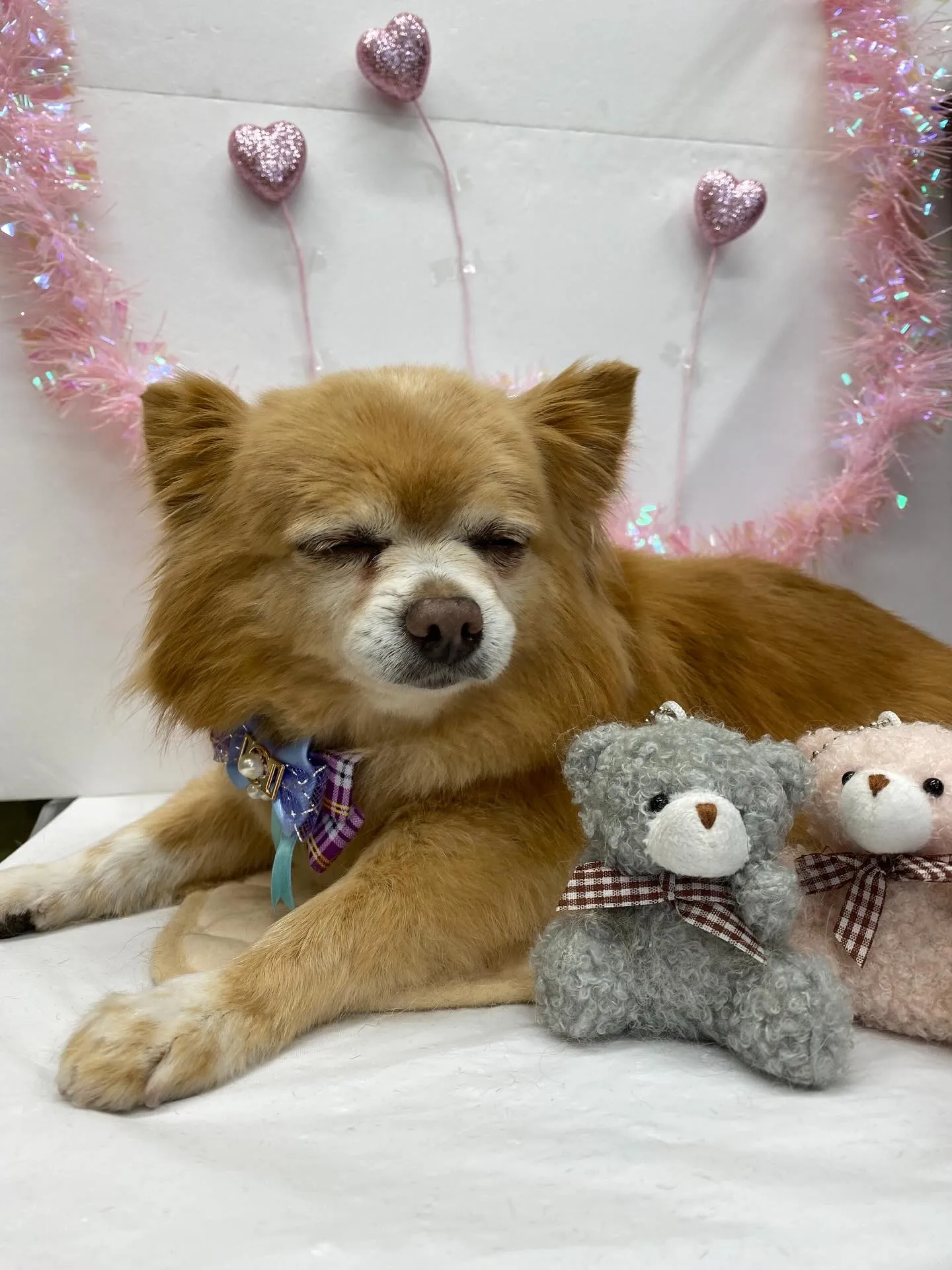 ジャックくん💓