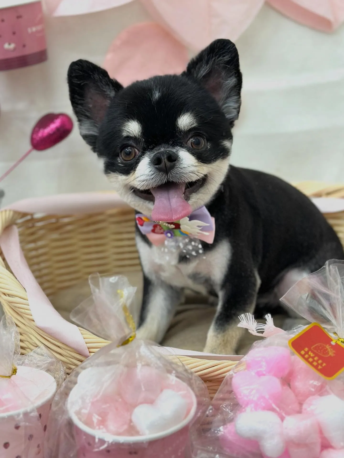 ルルくん🐻🩵