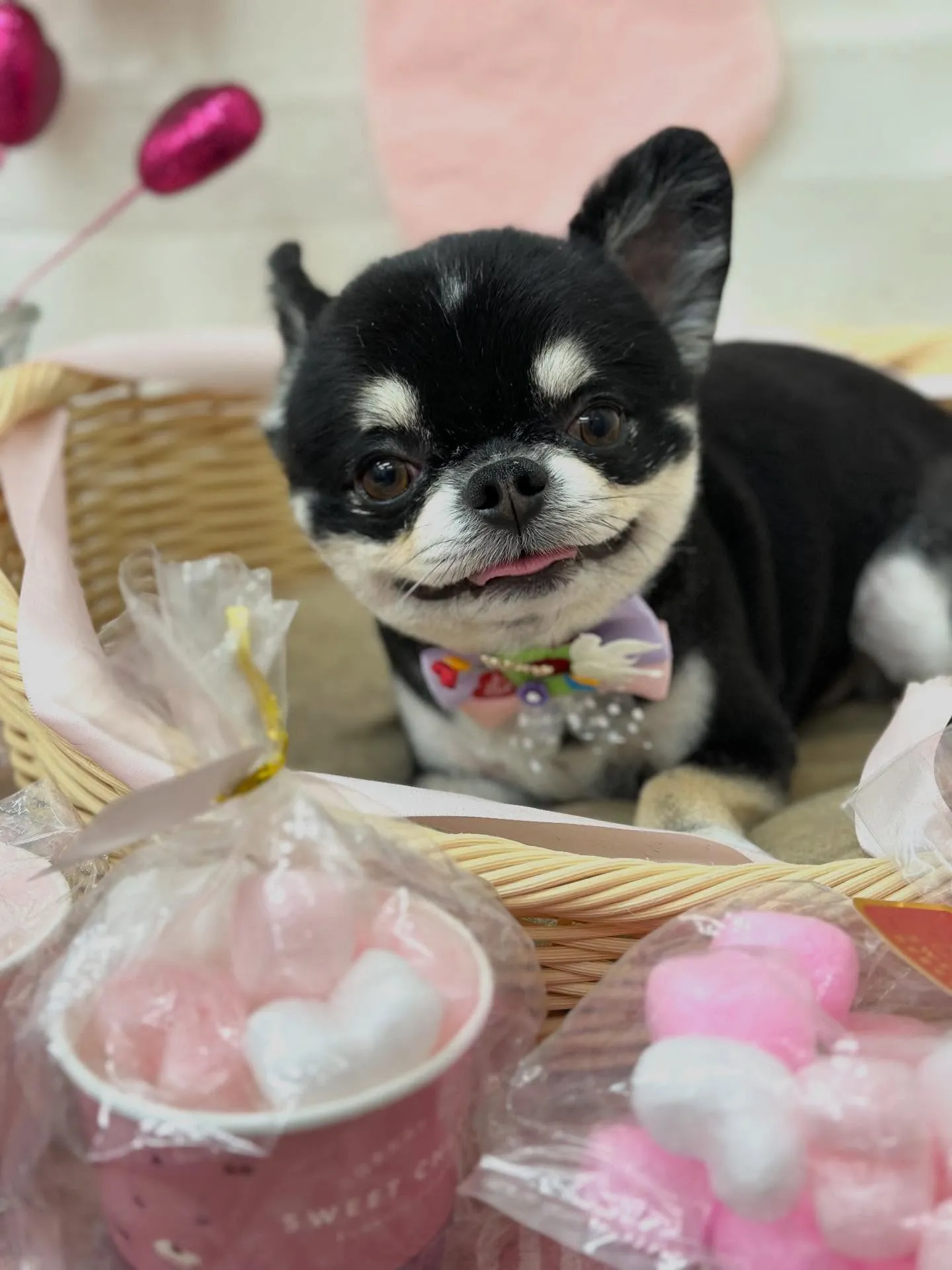 ルルくん🐻🩵