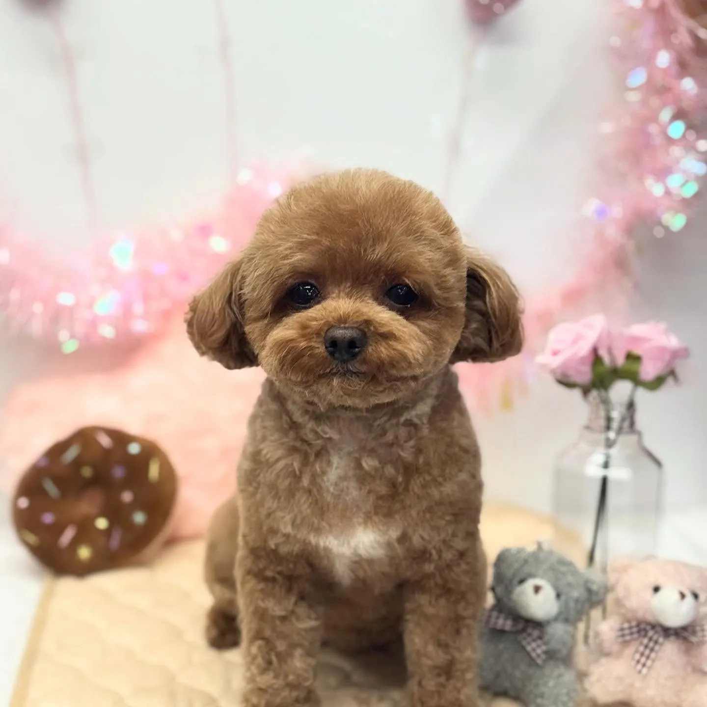 たまりちゃん☀️