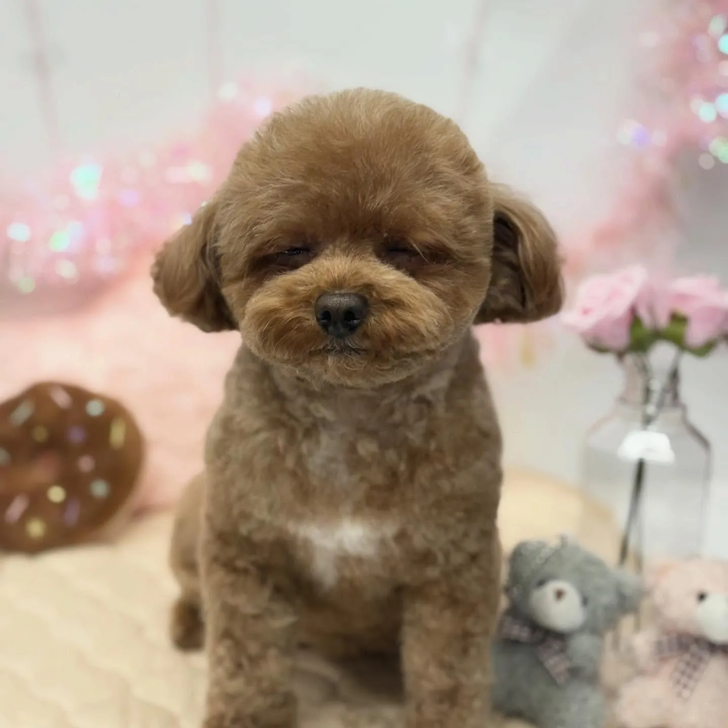 たまりちゃん☀️