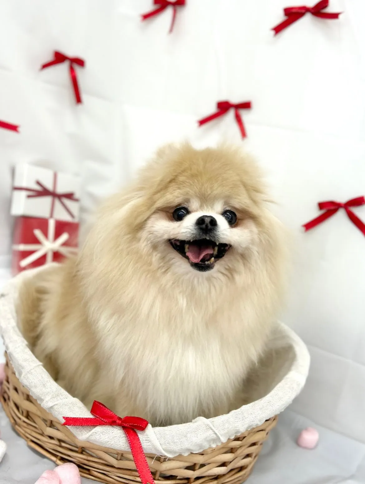 🧸まりんちゃん🎀