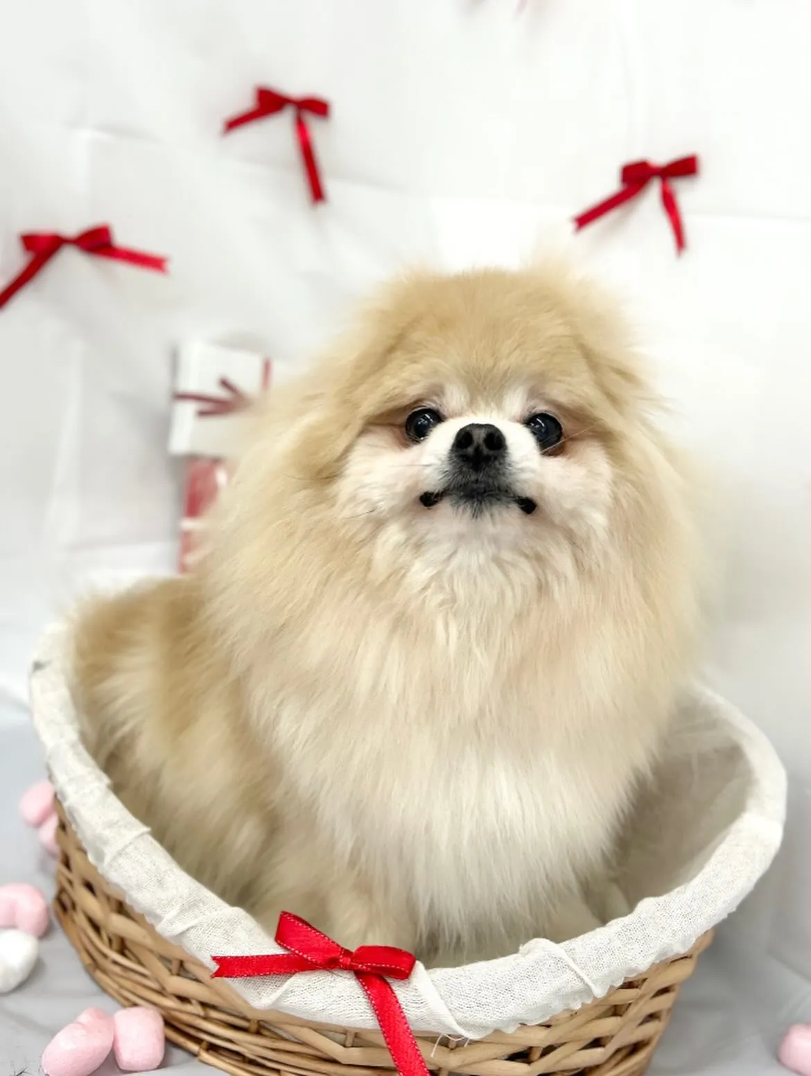 🧸まりんちゃん🎀