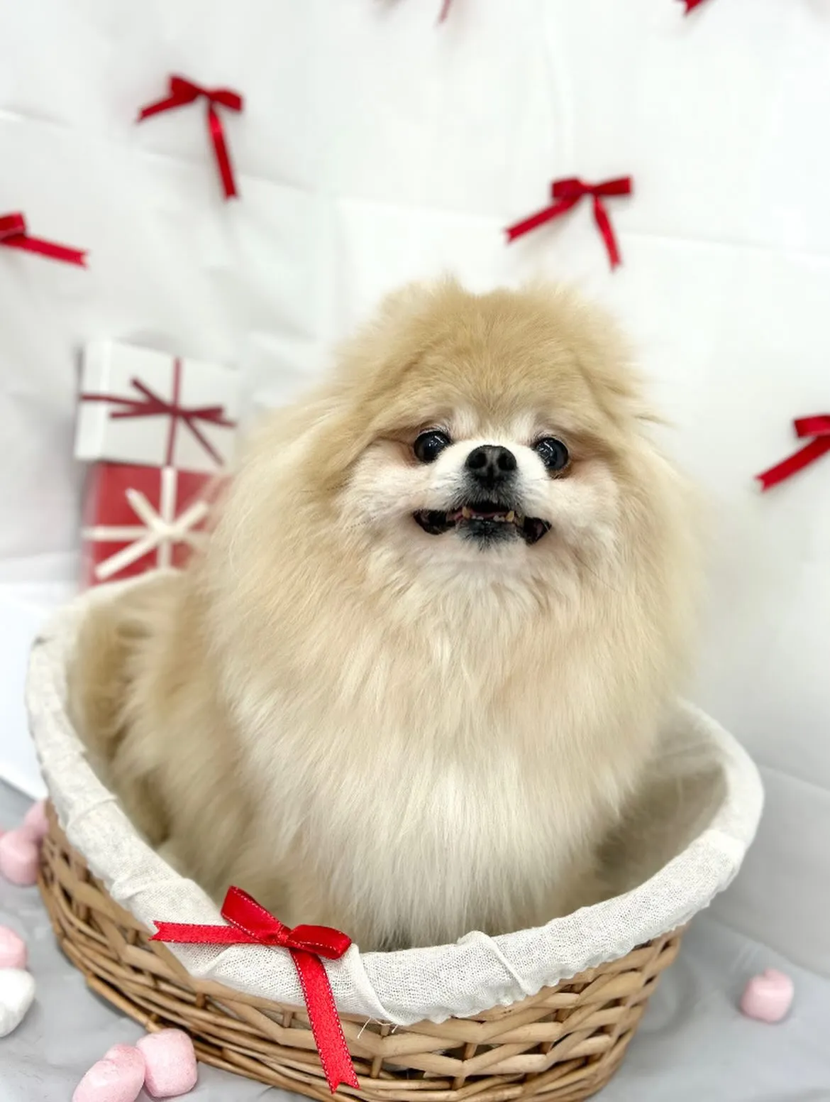 🧸まりんちゃん🎀