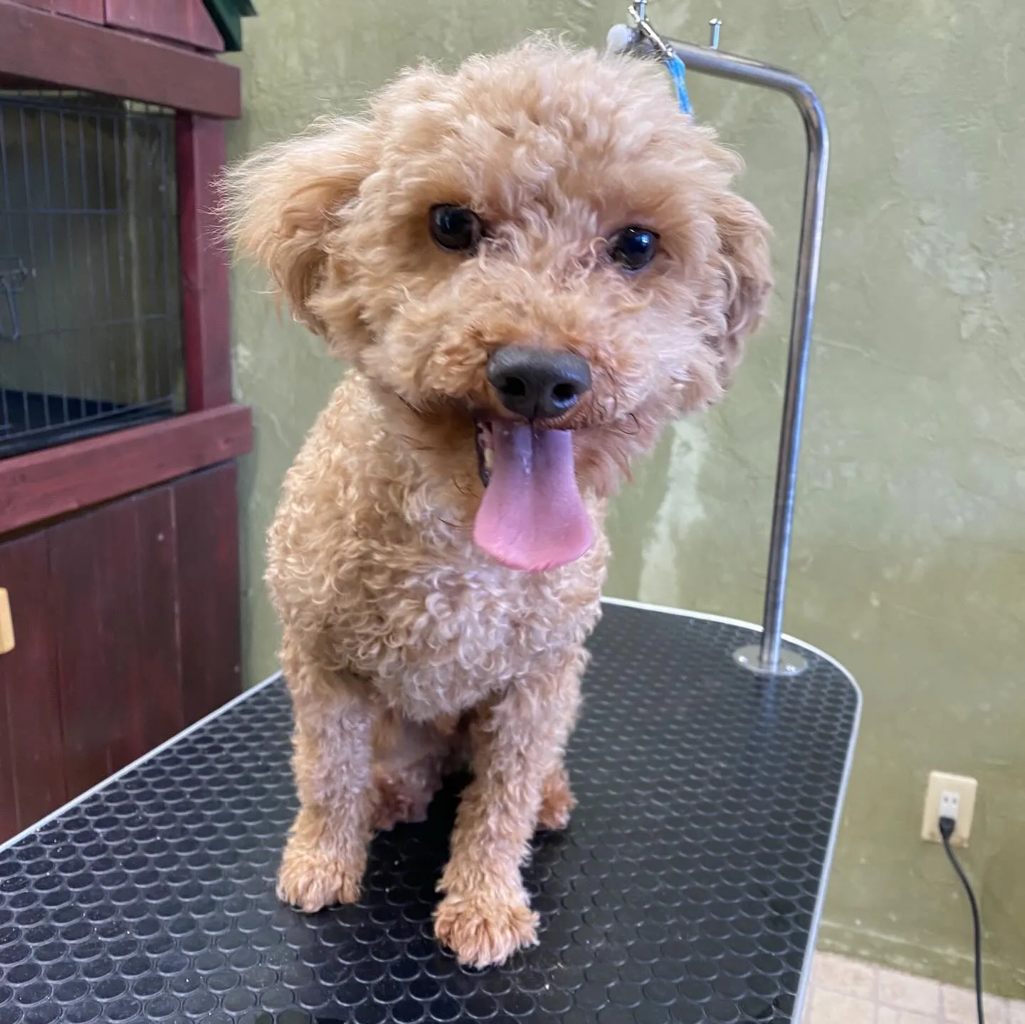 らんまるくん💓