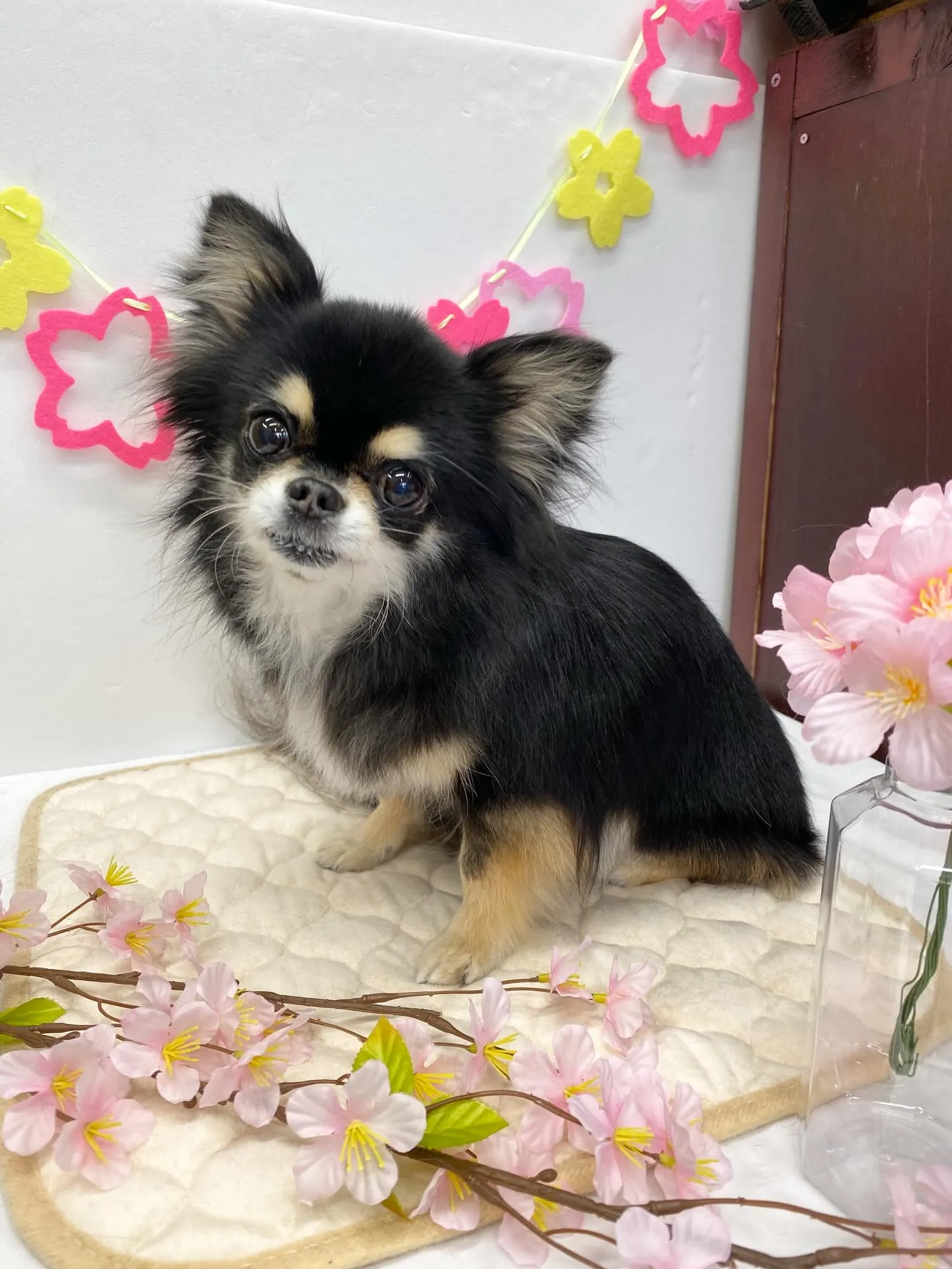 ララちゃんとマロンくん💖