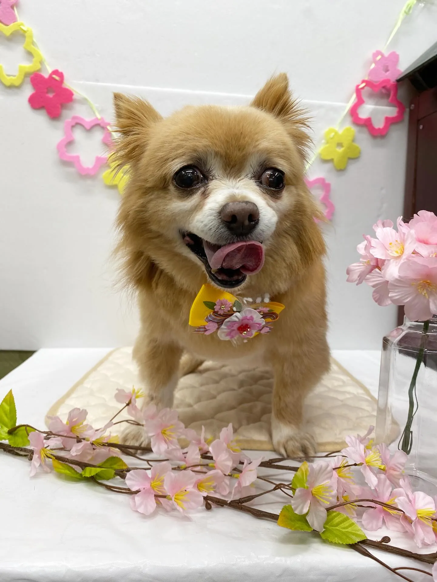 ジャックくん💞