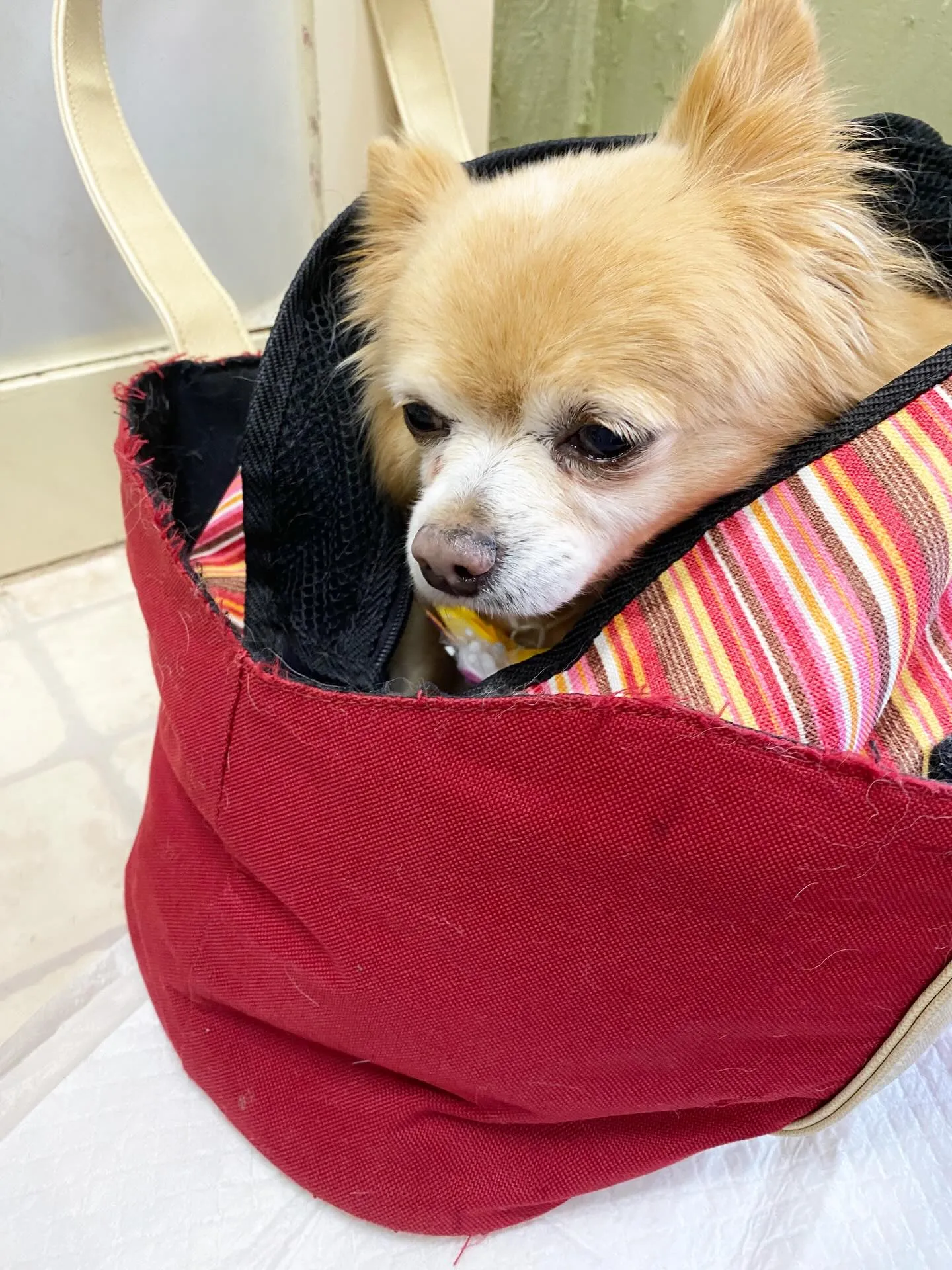 ジャックくん💞