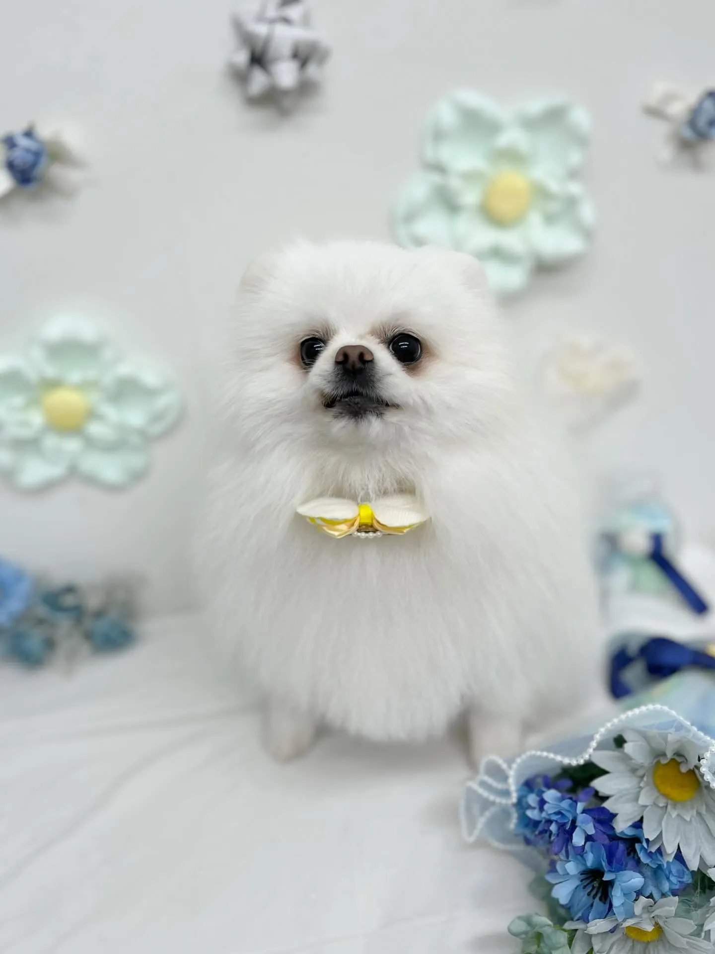 もかちゃん🩷ྀི