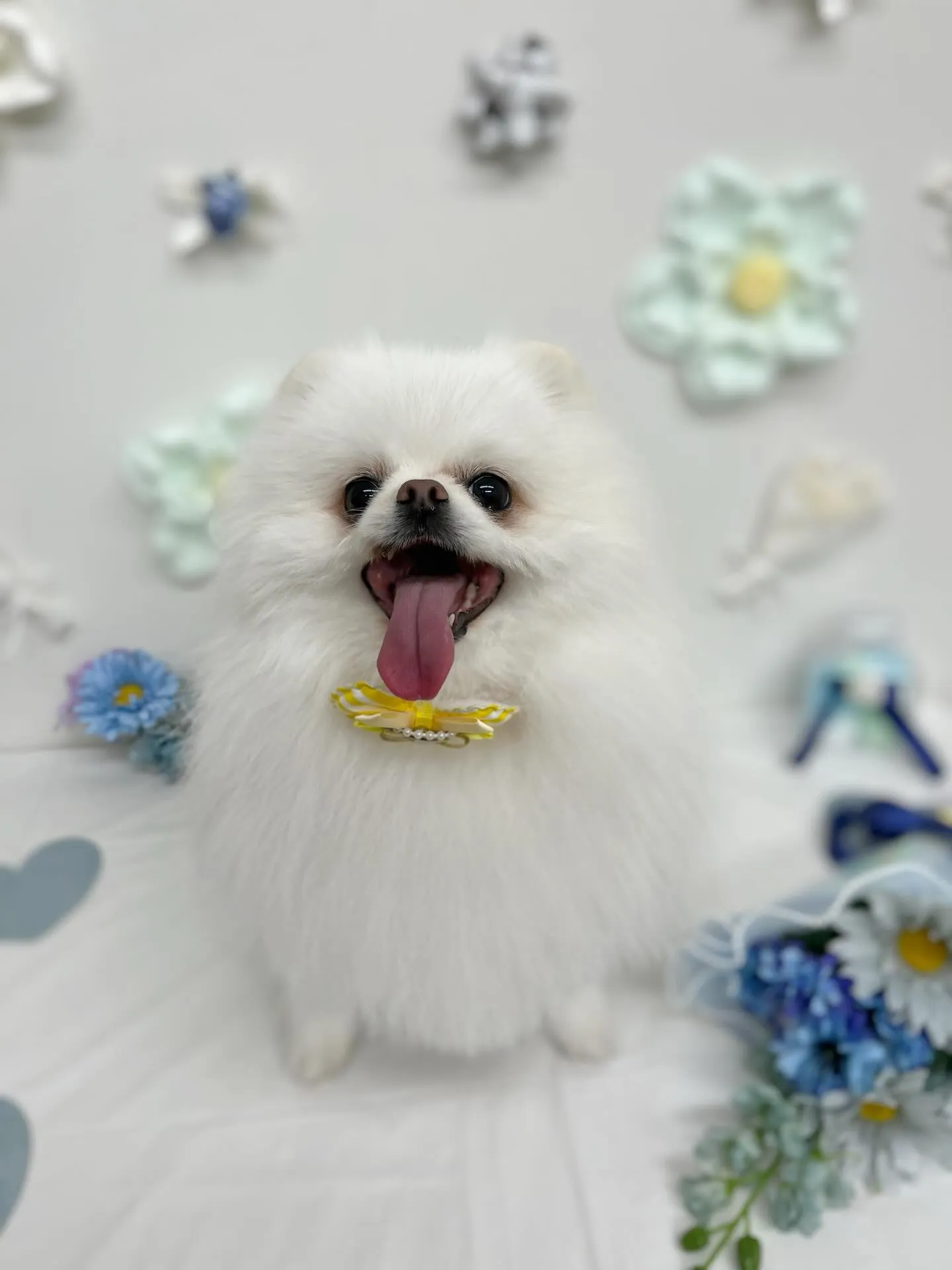 もかちゃん🩷ྀི