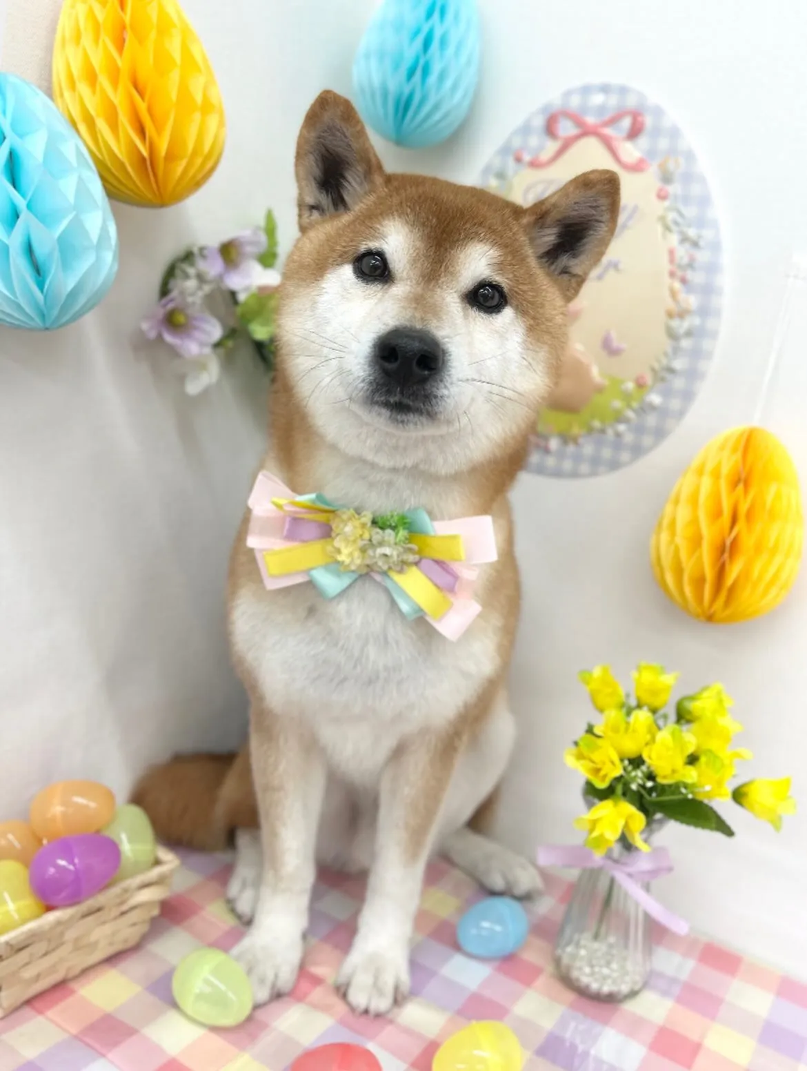 🐰リクくん🩵