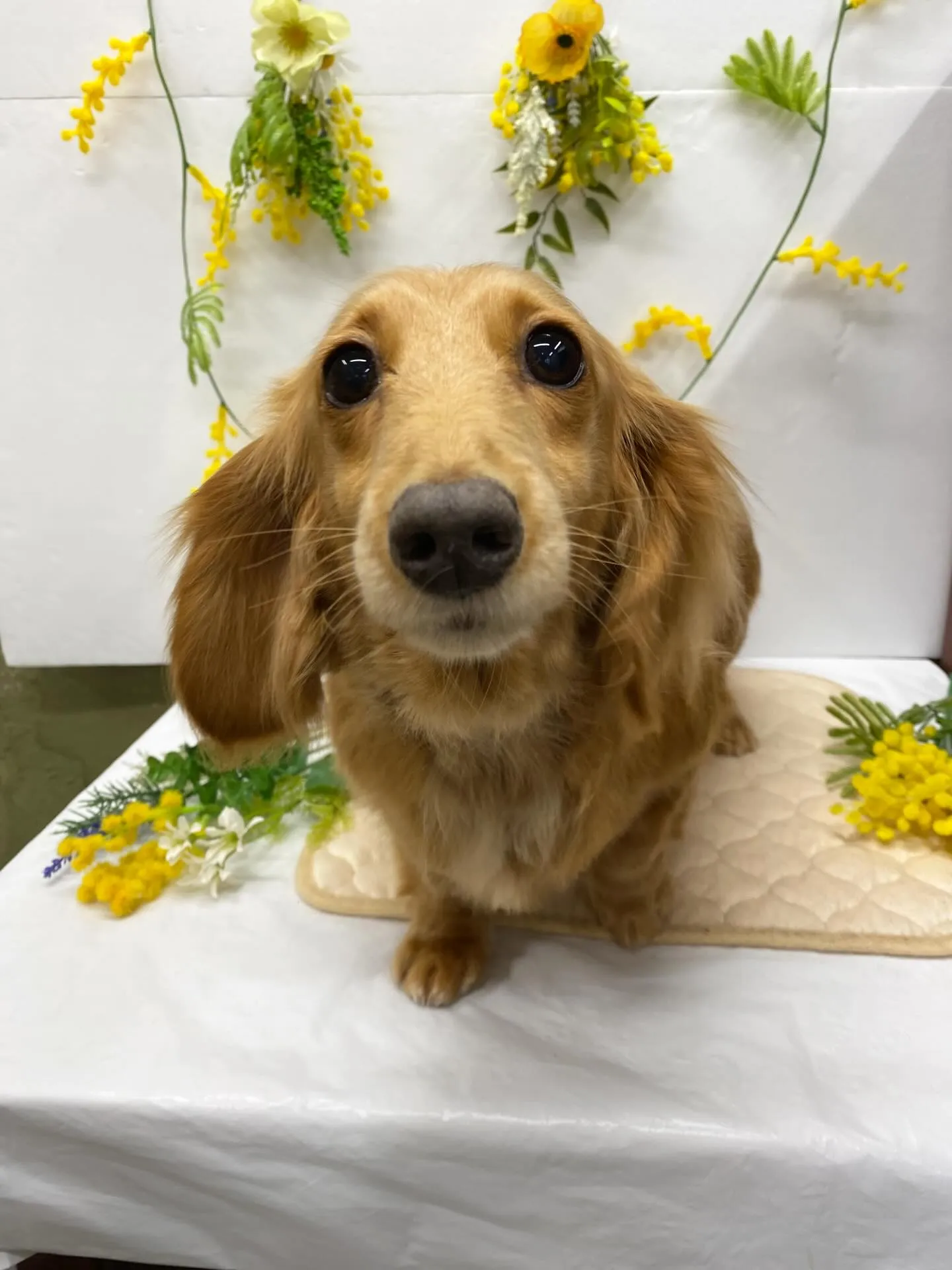 きのこちゃん💓