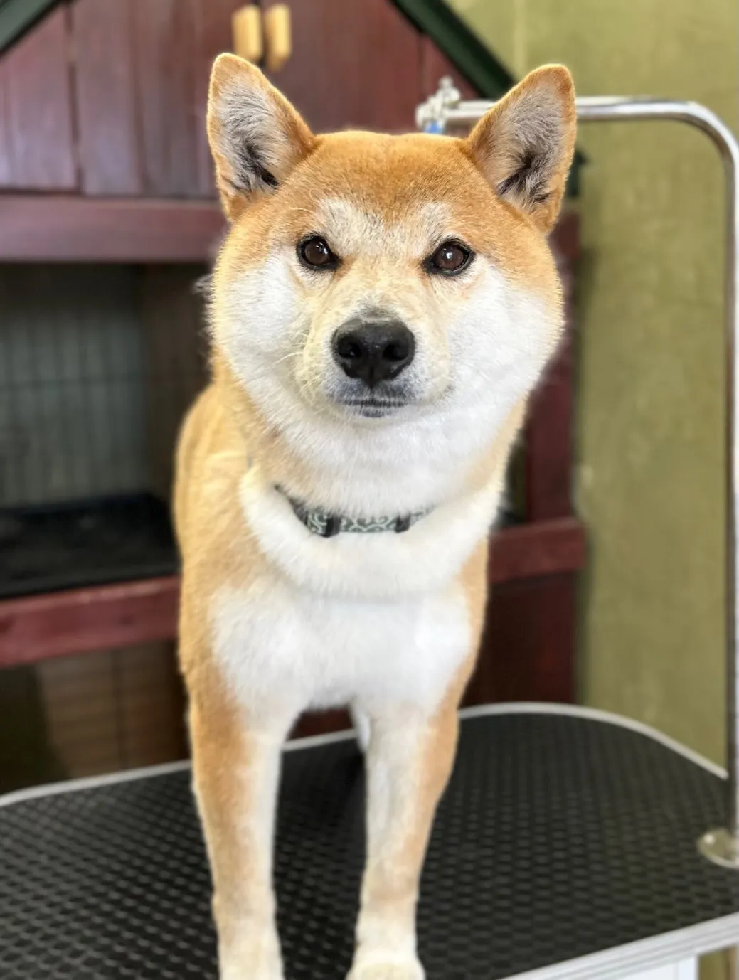 🌼レイくん🌼