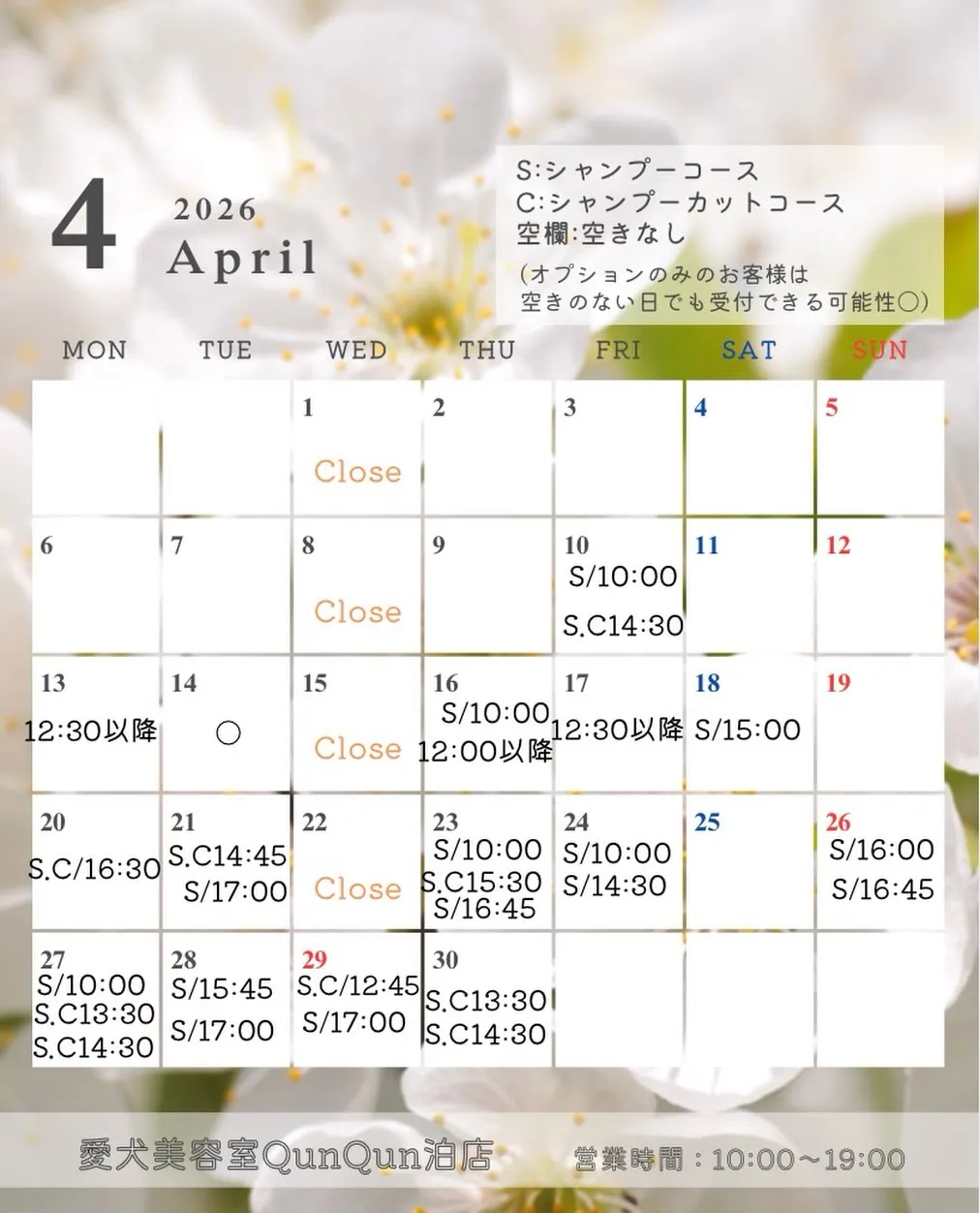 愛犬美容室 QunQun泊店 4月空き状況です